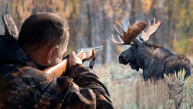 Застали за обвалюванням туші: браконьєр, що застрелив лося, помер, тікаючи від лісників (Фото 18+)