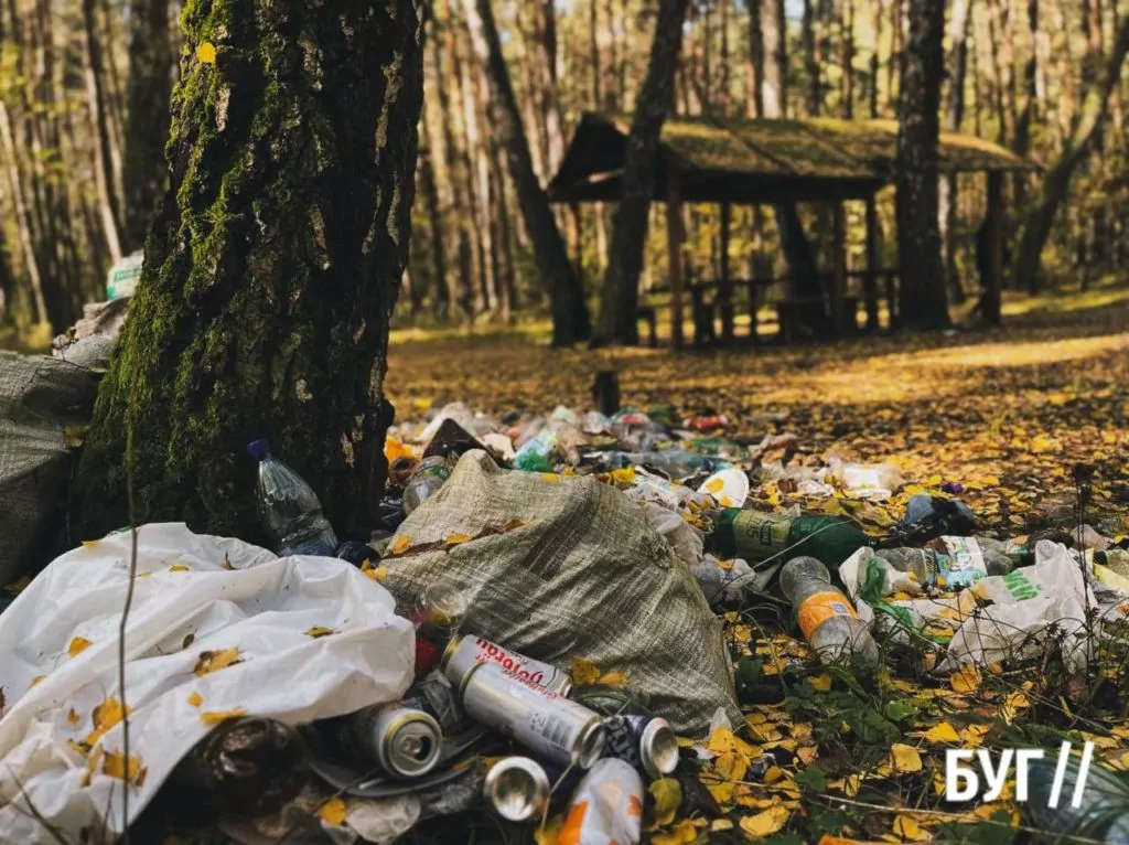 У лісі на Волині неподалік бесідок виявили гори сміття