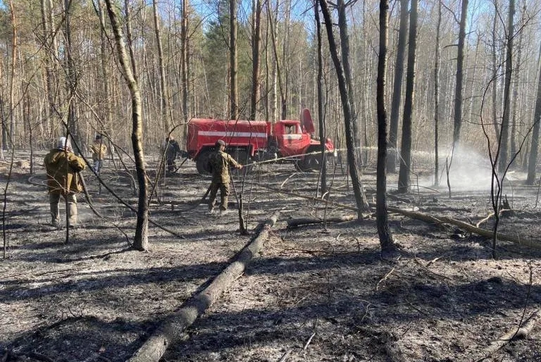 Волинських лісівників преміювали за боротьбу з пожежами