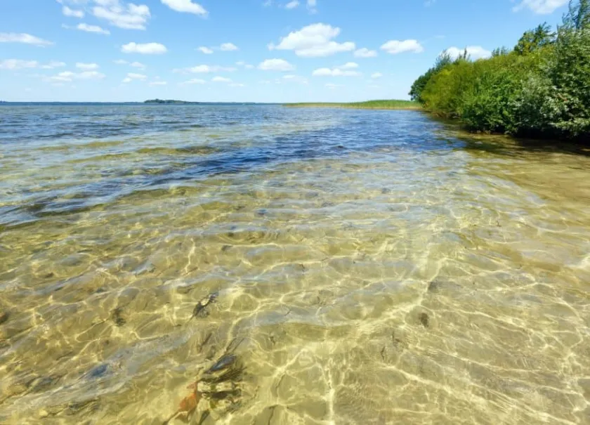 Лабораторія перевірила якість води на Шацьких озерах: результати