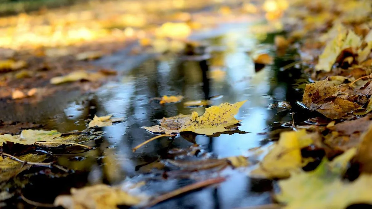 Волинь завтра накриє туман