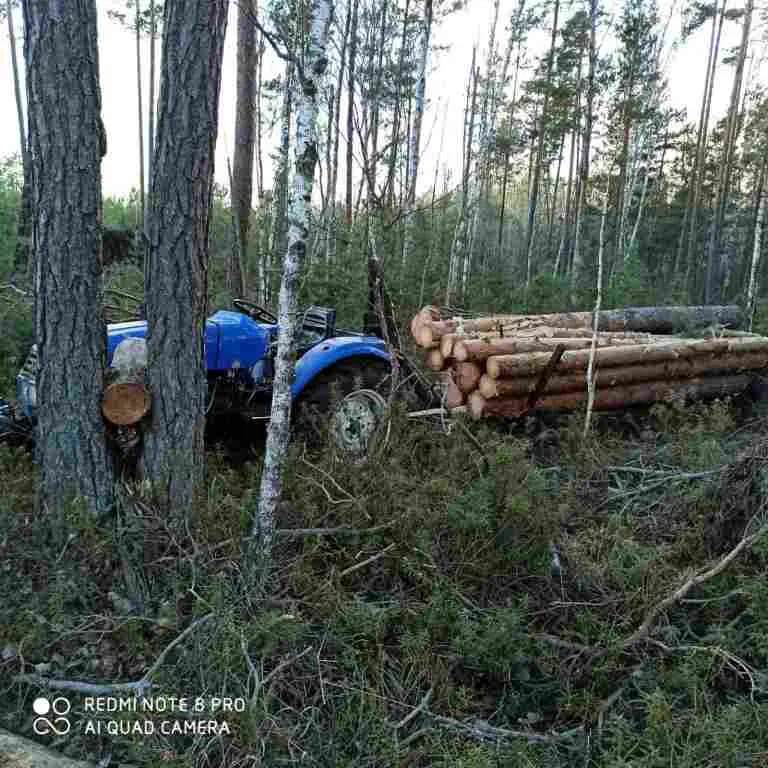 На Любешівщині лісопорушників затримали «на гарячому»