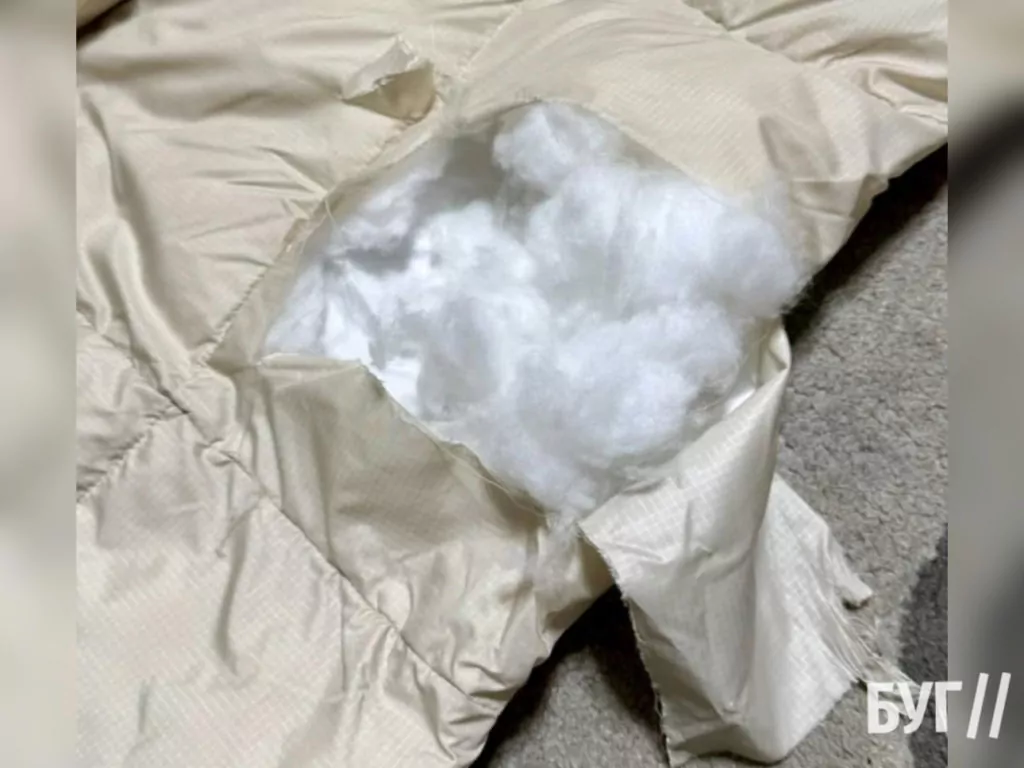 У Нововолинську собаки напали на жінку