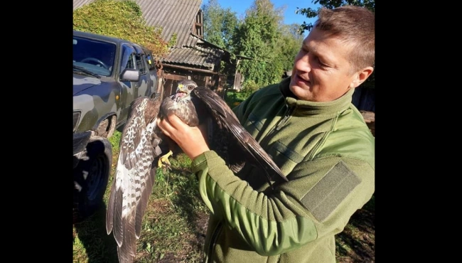 На Волині тероборонівці врятували птаха