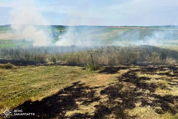 На заході України жінка згоріла живцем під час спалювання сухостою