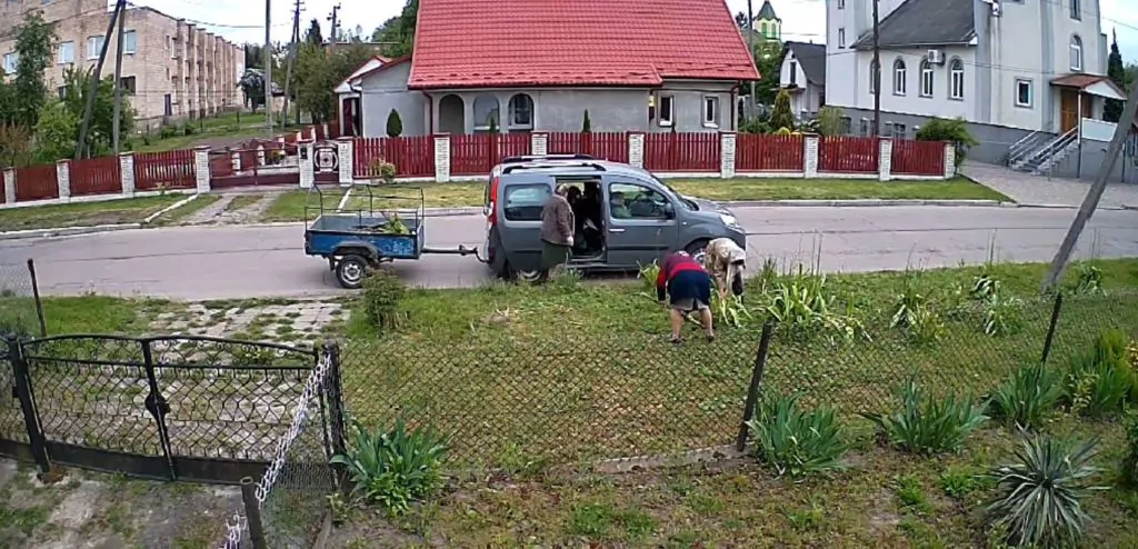 У центрі селища на Волині трійця пенсіонерок обчистила чужий квітник (Відео)