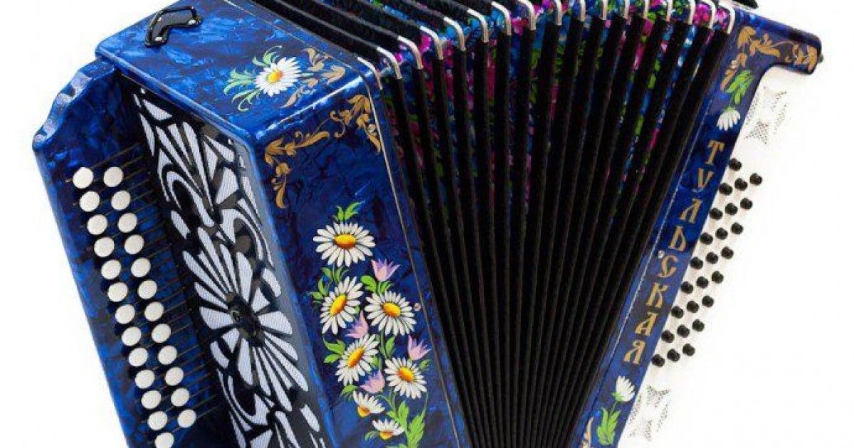 Баян hohner maestro. Гармонь музыкальный. Shantou gepai аккордеон 63717. Тульская гармонь gn-25-gr. Шуйская гармонь чайка.