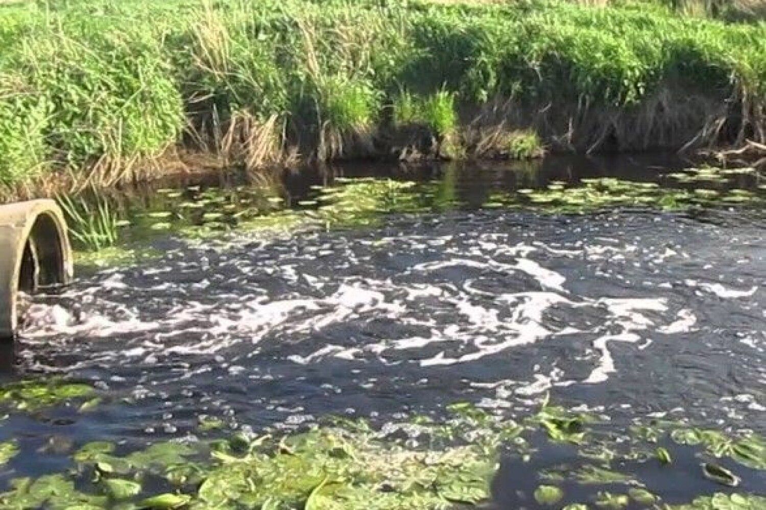 Место сброса сточных вод. Загрязнение реки Сура Пенза. Загрязнённая река завод в Оренбургской области. Река Сейм загрязнение. Загрязнение водоемов.