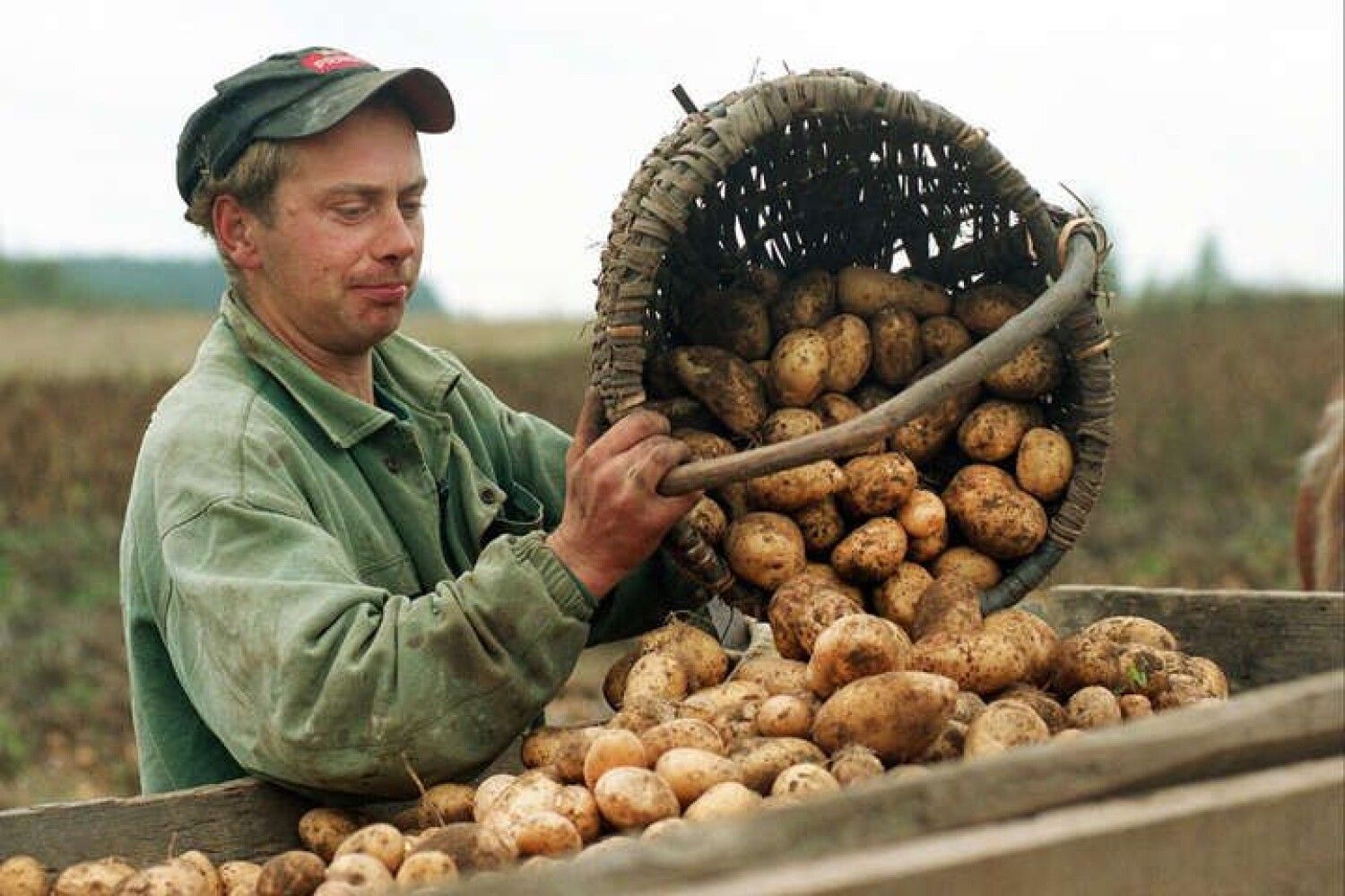 Фермер с картошкой