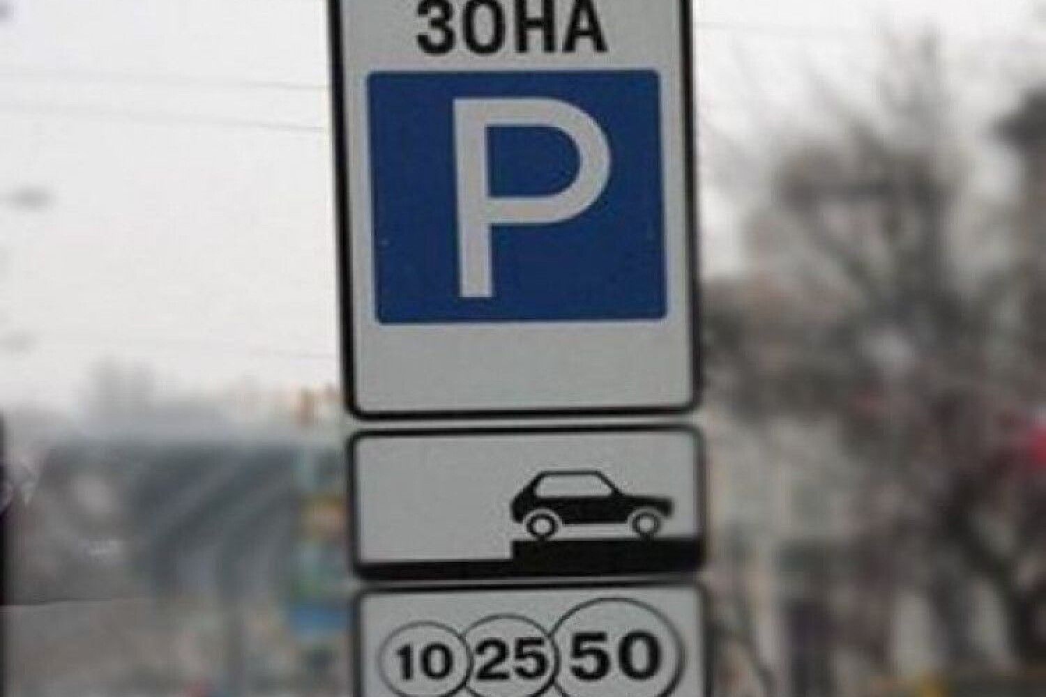 Знак зона парковки
