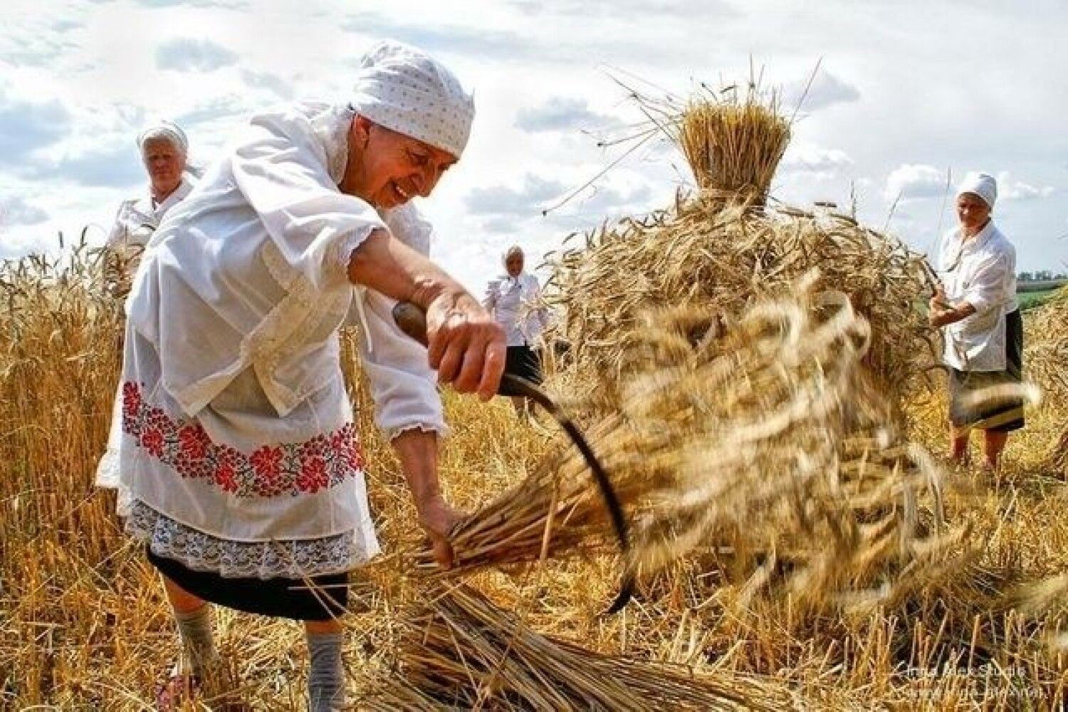 Землица. Зажинки сноп. Казанская летняя (Зажинки, Прокопий Жнец). Казанская летняя (Прокопьев день, Зажинки). Славянский праздник Зажинки.