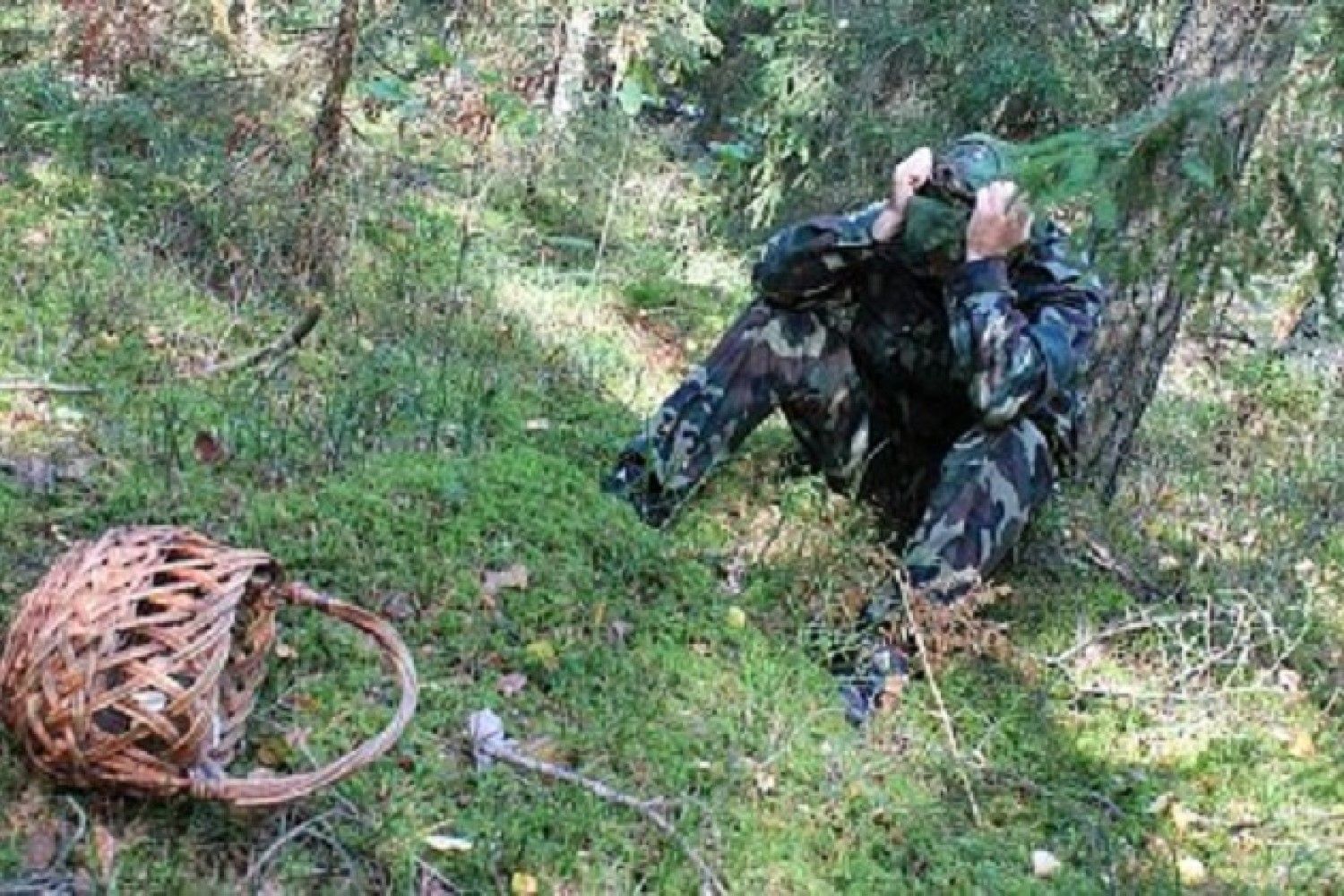 Пропасть в лесу. Заблудился в лесу. Грибники заблудились в лесу. Человек заблудился в лесу. Человек потерялся в лесу.