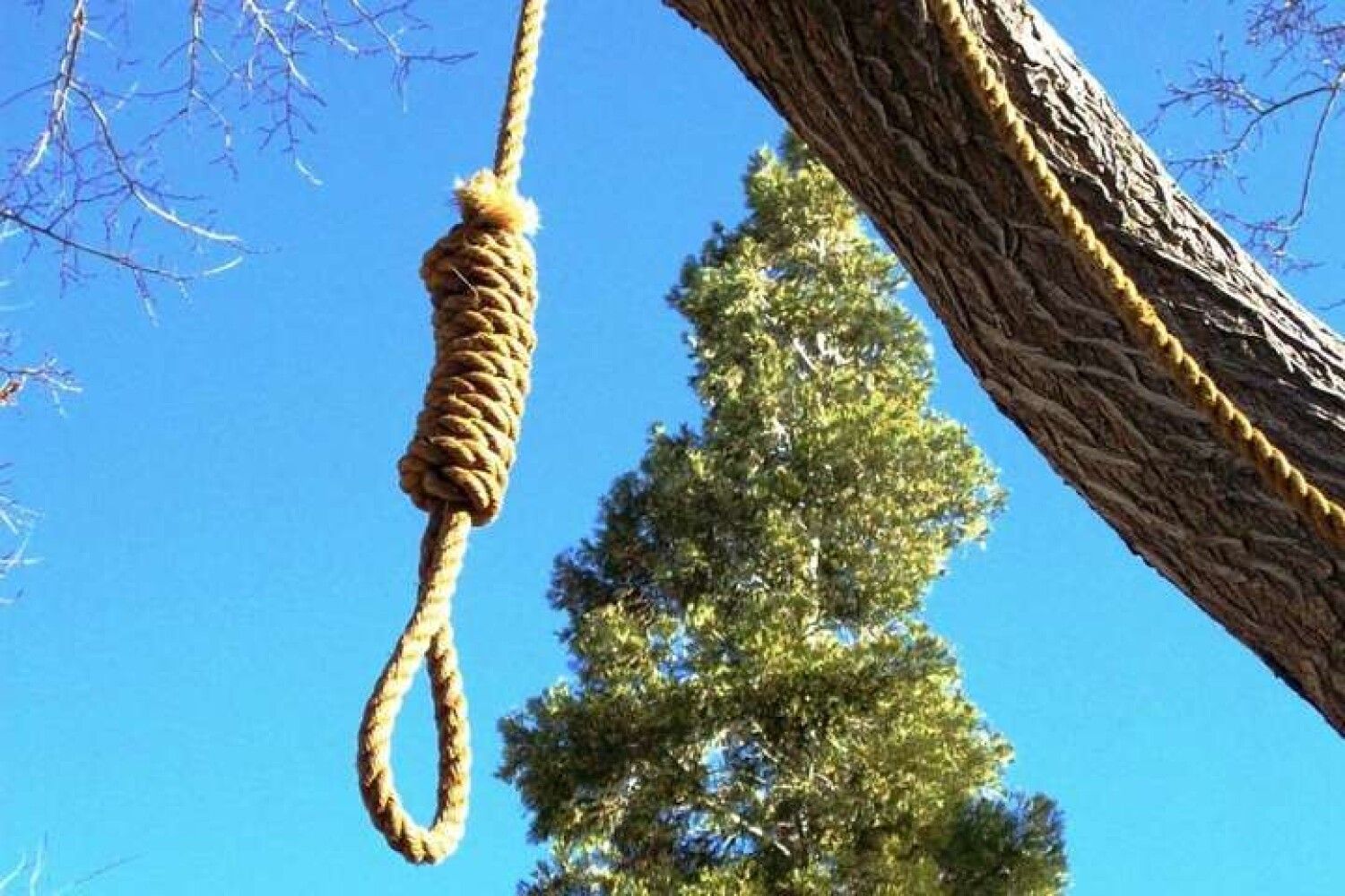 День висельника. Человек в тени дерева. День висельника. Канат на дереве. День висельника.