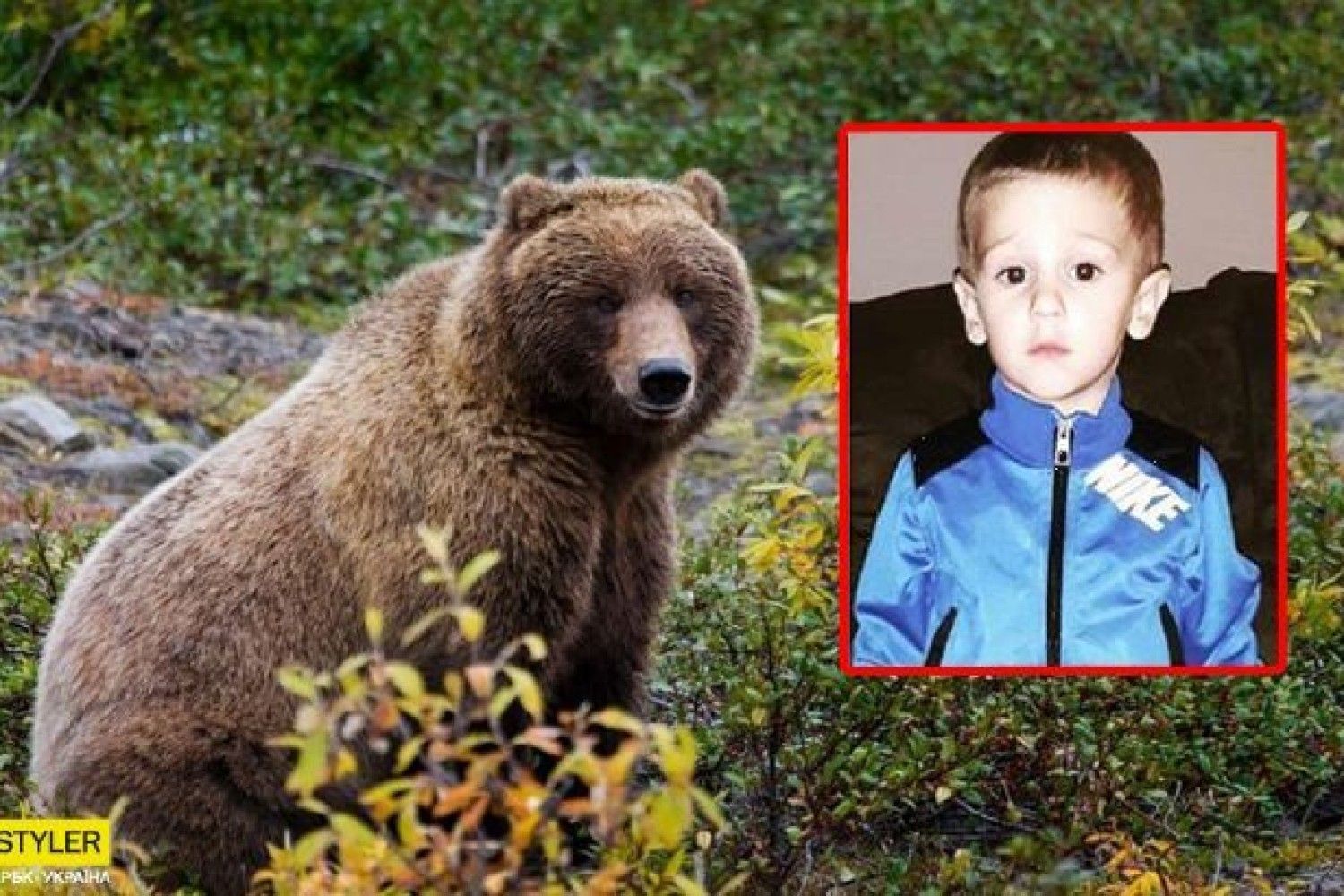 Медведь спас потерявшегося в Мороз в лесу ребенка