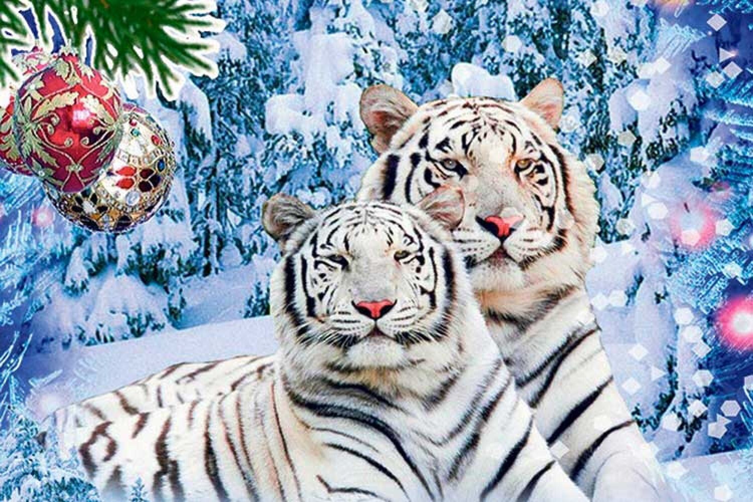 Фото Новый Год 22