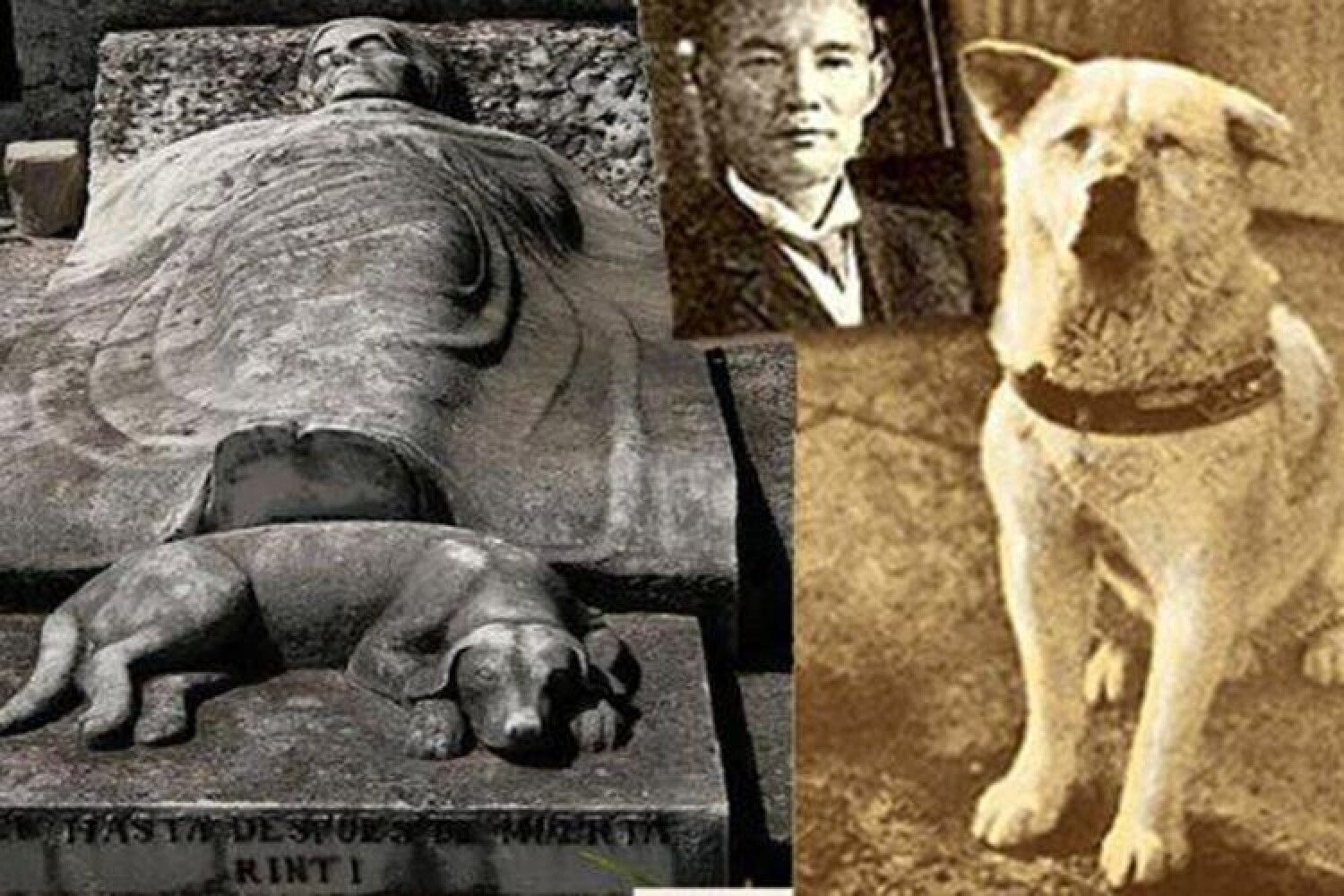 Год собаки история. Хатико 1923. Хидэсабуро Уэно. Хидэсабуро Уэно могила. Хатико 1925 с хозяином.