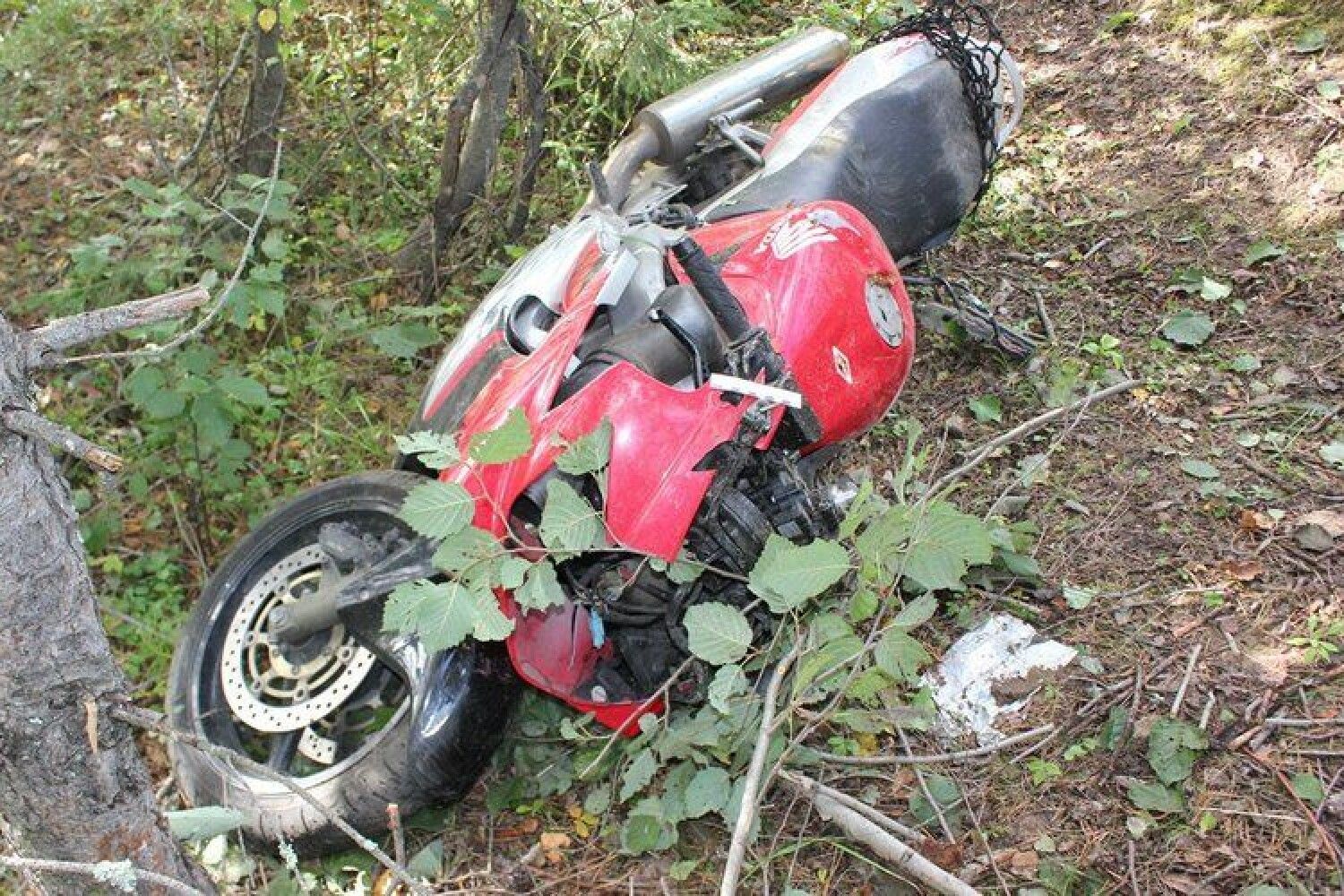 Разбитый мотоцикл в лесу