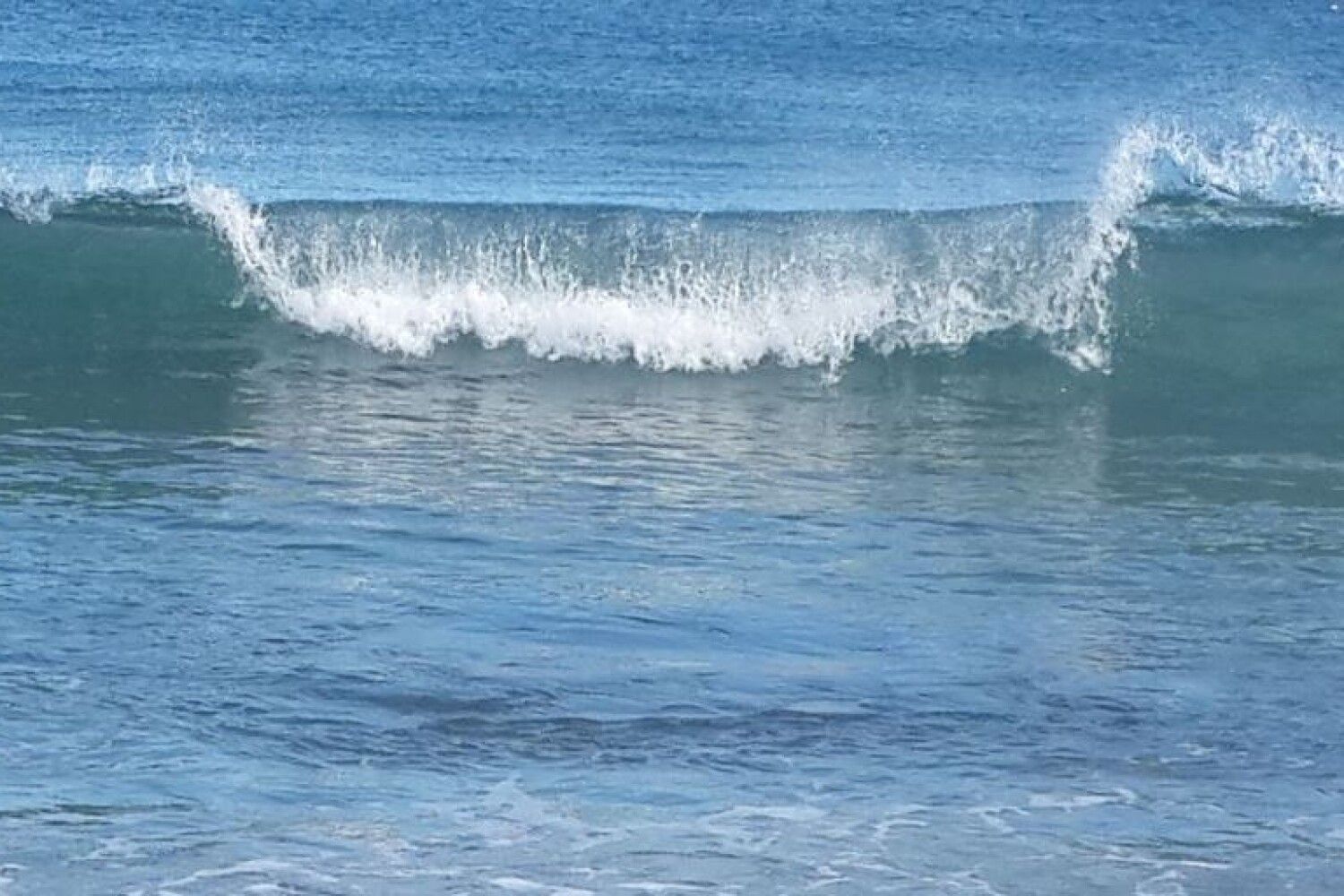 Ocean speed. Ocean speed