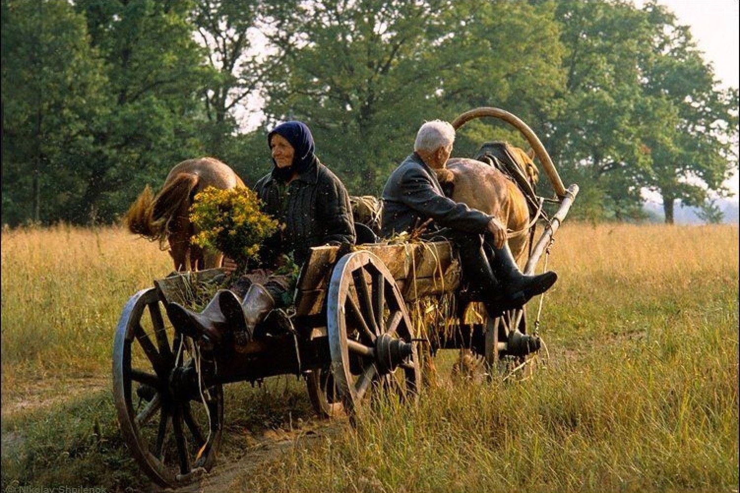 Эта простота деревенской жизни. Крестьянин на телеге. Телега в деревне. Телега в поле. Деревенская лошадь с повозкой.
