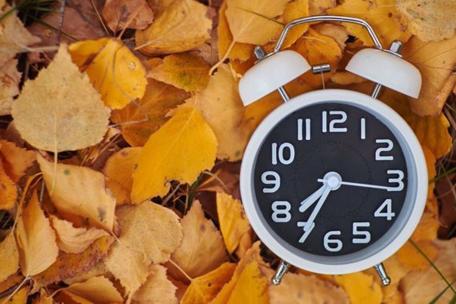 Когда украина переводит часы на летнее время. Осенние часы. На часах осень. Сезонные часы. Часы лето.