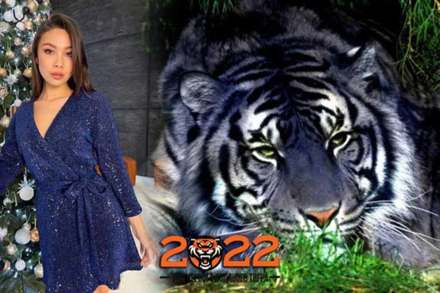 Год тигра 2022 цвет одежды