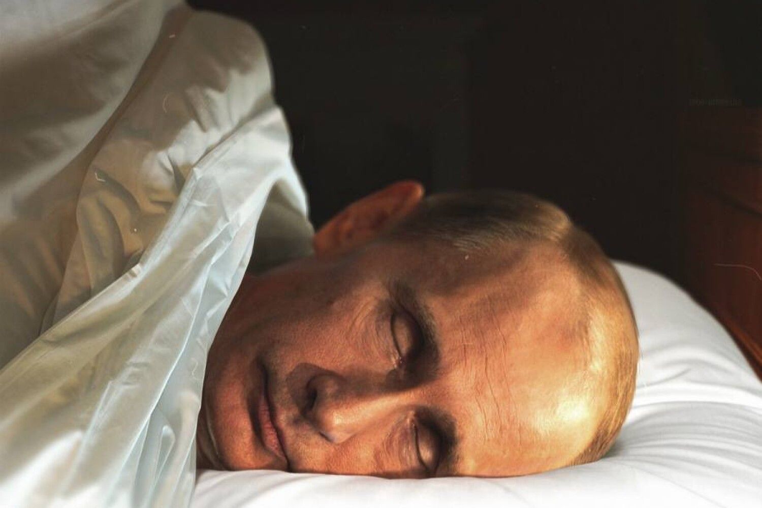 Путин спит