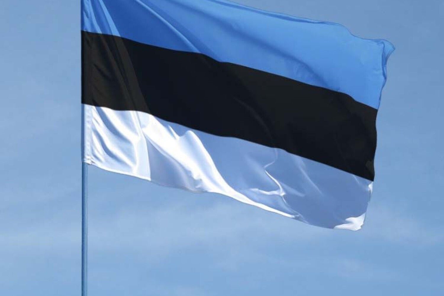 как выглядит флаг эстонии