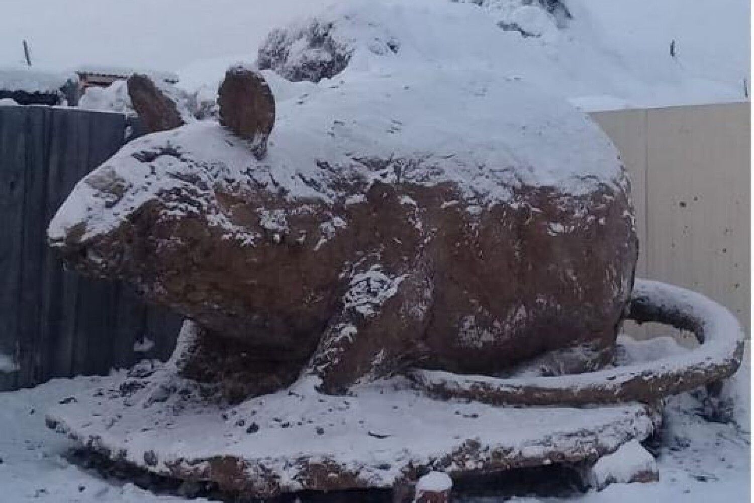 Боппосов скульптор якутия. Символ года из навоза. Символ года из навоза. Символ года из навоза. Боппосов скульптор якутия.