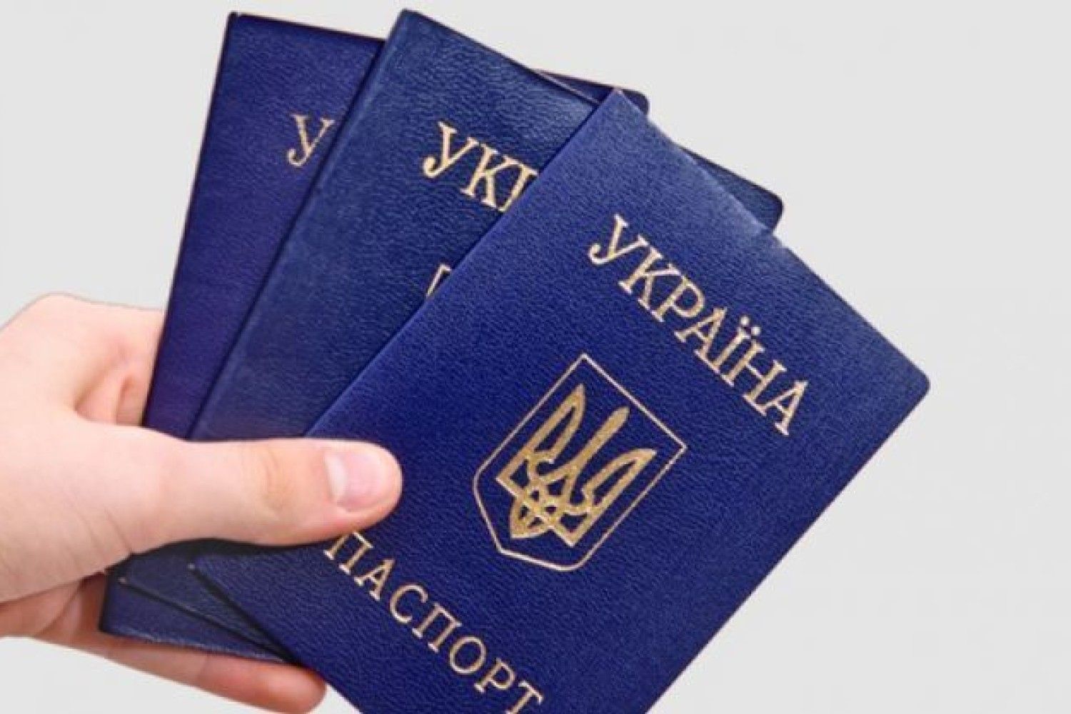 Украинский паспорт фото