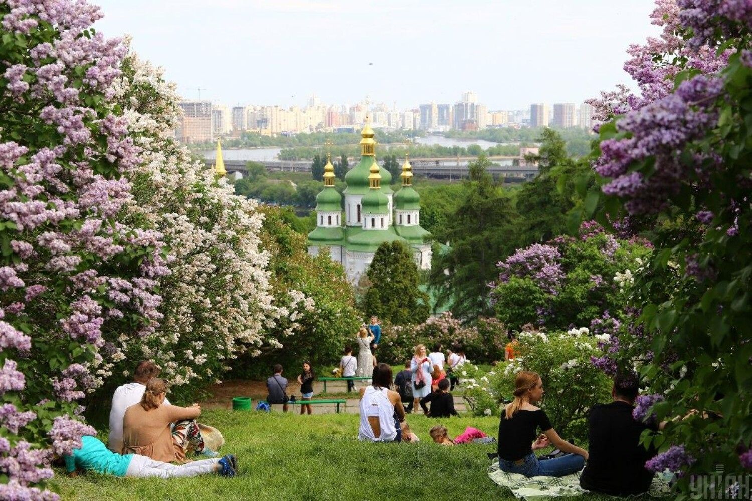 Киевский Ботанический сад имени Гришко фото сирень