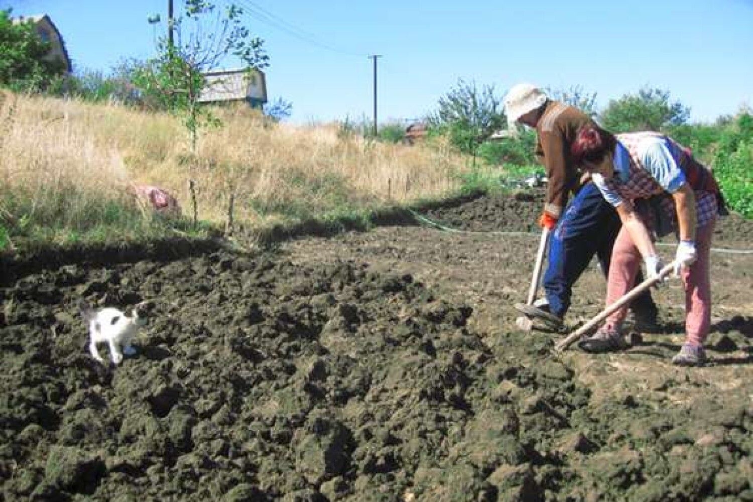 Люди в огороде весной