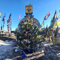 На Донеччині встановили ялинку з Волині