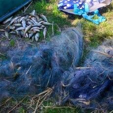 На  озерах Волині полювали на браконьєрів