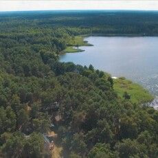 Вода озера Пісочне на Волині лікує не тільки людей, а й тварин