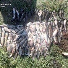 За браконьєрство на озері пенсіонер з Волині сплатить понад 180 тисяч гривень