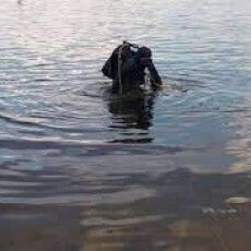 На Горохівщині у водоймі знайшли тіло чоловіка 