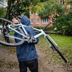 На Волині вкрали «коня»