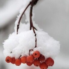 На Волині прогнозують до 28°С градусів морозу