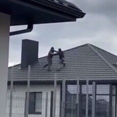 У Луцькому районі працівники ТЦК скинули чоловіка з даху приватного будинку (Відео)