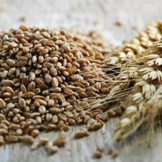 «Можна було б зрозуміти різницю в одну-дві гривні, але 13-15 – це жахливо!». Аграрії Горохівщини закликали не наживатись на війні