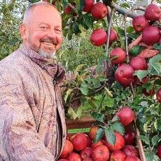На Волині розшукують власника яблуневого раю (Фото)