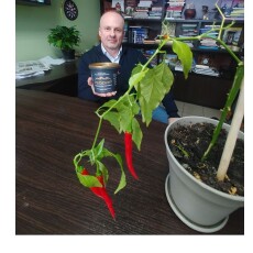 У газеті «Волинь» посипали вазони – і вони «ожили»!