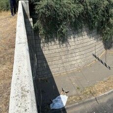 Чоловік загинув, стрибнувши з мосту під час втечі від поліції та ТЦК