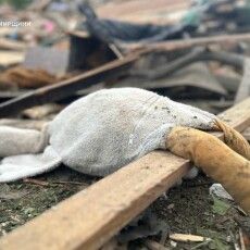 Ракети путіна сьогодні вбили трьох дітей (Фото)