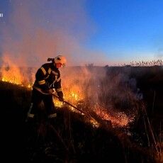 На Волині вогонь добрався до околиць трьох колишніх райцентрів