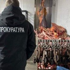 На Волині суд покарав організаторів нелегальної бійні тварин