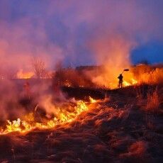На Волині упіймали трьох паліїв сухої трави