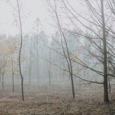Погода на Волині: різке похолодання відміняється