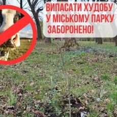 Священне місце чи пасовище: у громаді на Волині корови нищать Алею пам'яті Героїв