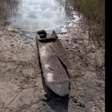 На дні обмілілого озера на Волині знайшли дубовий старовинний човен